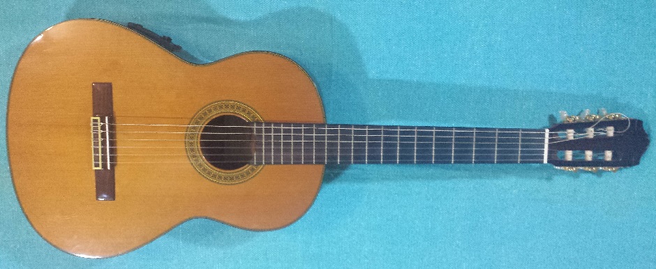 Guitarra española